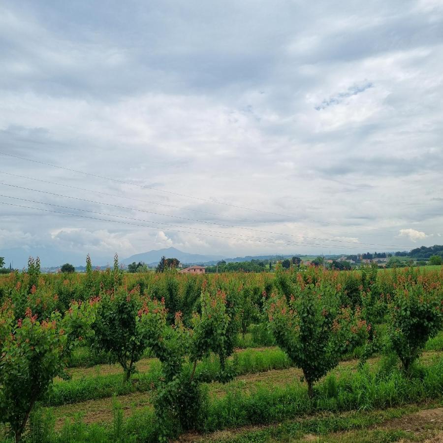 Corte Bottura Agriturismo Кастельнуово-дель-Гарда Экстерьер фото